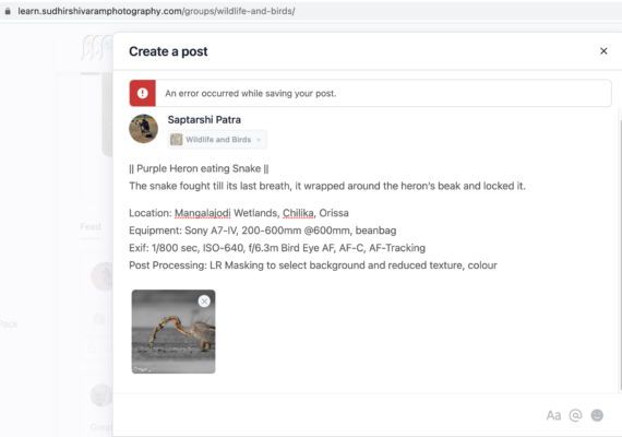 Screenshot 2023-05-08 at 7.58.29 AM