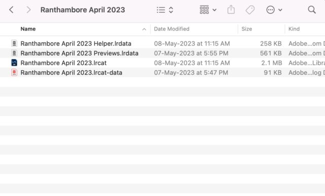 Xnip2023-05-12_14-47-30