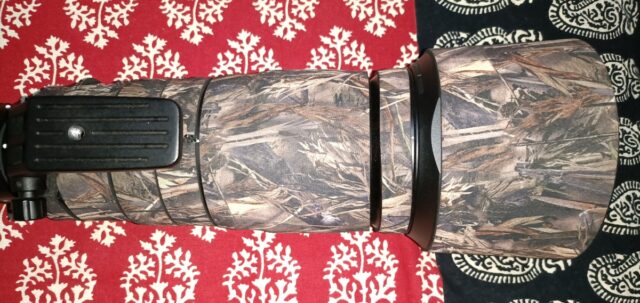 59dd4c3d-f7e8-4328-87f8-02fb67f61320