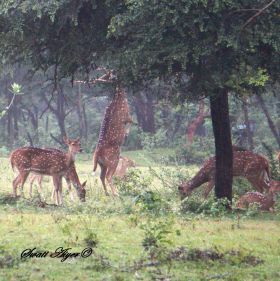 Evolving - Photo forum