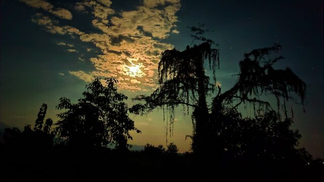 a258e9ad-e8d9-47ff-8c22-bf83dfba6ae0