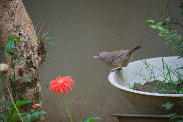 BDB60DA1-87AD-49DC-A34B-807C79A875F3