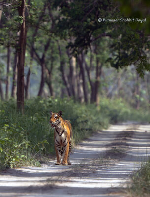 _AR52915-Enhanced-NR copy