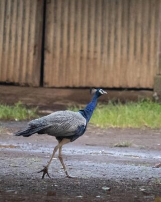 b493daf6-4d5f-462a-a0b8-9155e2f7432b