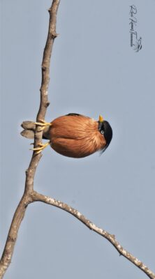 b43da472-6290-4efc-85d5-a9bd270eec71