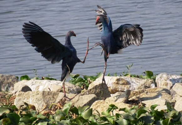 49f18b7f-365b-43d5-80e2-6cb57668c2de