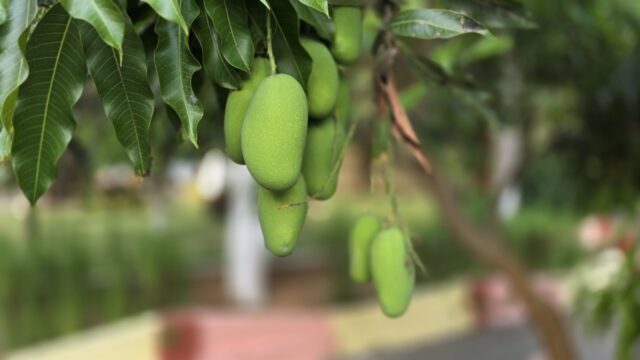 4c21f9df-bc84-4ee4-a605-cf7ba1d12e9f