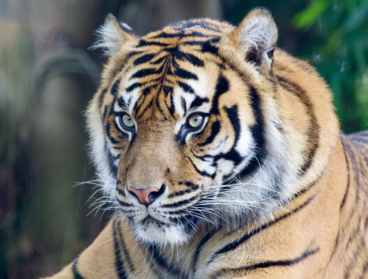 97A35B81-A779-420B-91AB-A4DFE1E2F9FC