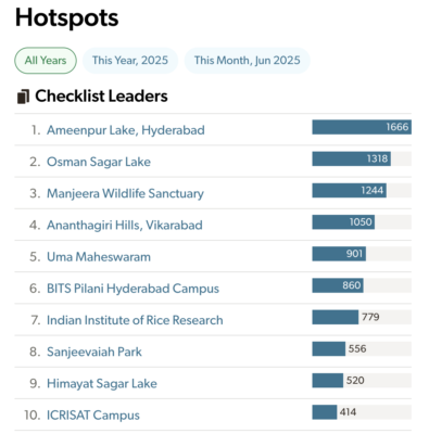 Screenshot 2025-06-17 at 6.58.07 PM