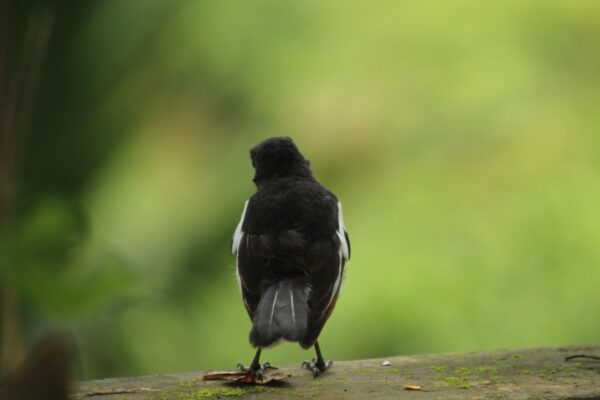 5a2b12e9-61de-43f3-a97b-19ed628b22e4