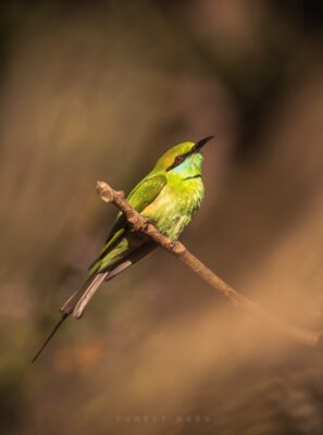 6ac2549d-2fef-4a98-9819-3690f3b9c6c9