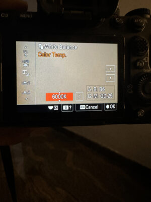 4CE7BE2B-FE54-456F-A701-81A6CDA8C991