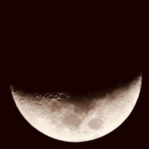 Profile photo of Kunal Sinha