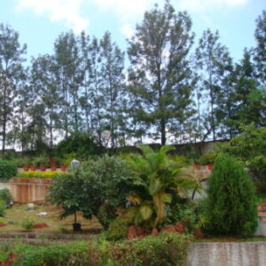 Profile photo of Prasanna Aklekar