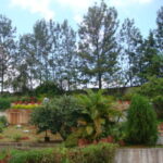 Profile photo of Prasanna Aklekar