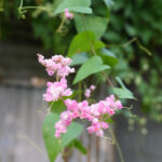 Profile photo of ARGHYAA NARAYAN PATRA